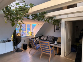Aarhus lejlighed med udsigt in Aarhus
